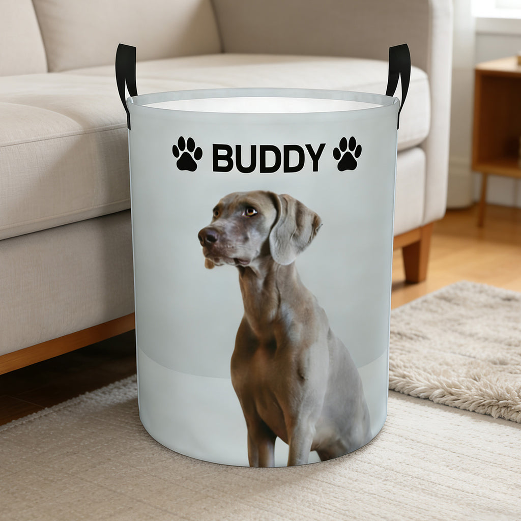 Custom Large Dog Toy Storage Organizer | Personalized Collapsible Bin for Toys, Food, Blankets & Living Room
