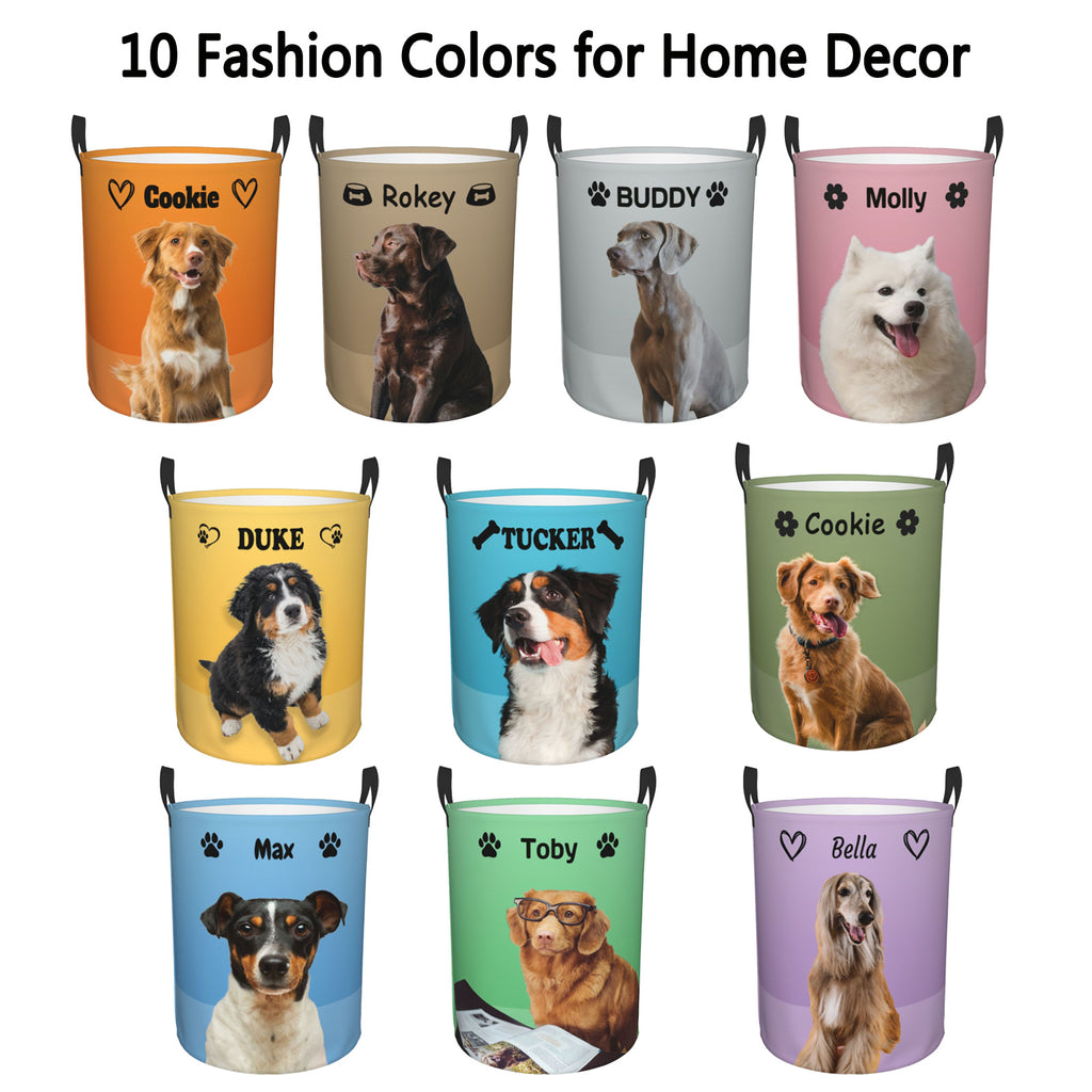 Custom Large Dog Toy Storage Organizer | Personalized Collapsible Bin for Toys, Food, Blankets & Living Room