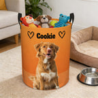 Dog toy storage basket holding pet toys and accessories, keeps living space tidy and organized