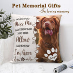 Thoughtful pet memorial throw pillow, ideal sympathy gift for grieving pet owners and rainbow bridge remembrance